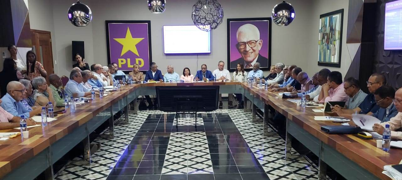 Partido de la Liberación Dominicana revisa avances de su Línea Organizativa Electoral rumbo al 2026